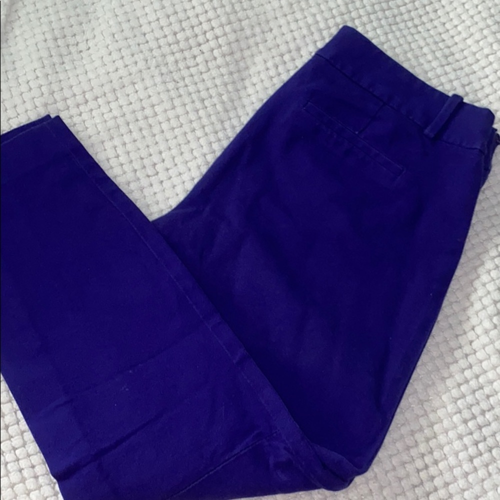 J. Crew Stretch Dressing Pants